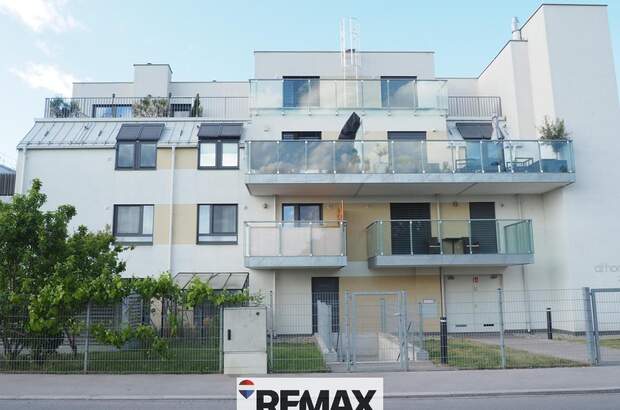 Terrassenwohnung kaufen in 1220 Wien (Bild 1)