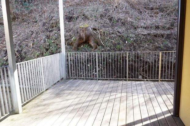 Wohnung mieten in 8605 Kapfenberg (Bild 4)