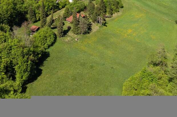 Einfamilienhaus kaufen in 9220 Velden (Bild 4)