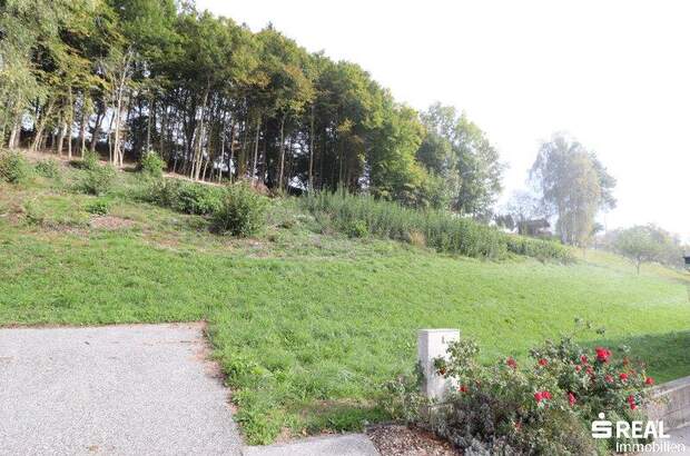 Grundstück kaufen in 9072 Ludmannsdorf (Bild 2)