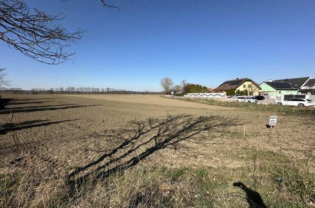 Grundstück kaufen in 7201 Neudörfl (Bild 2)