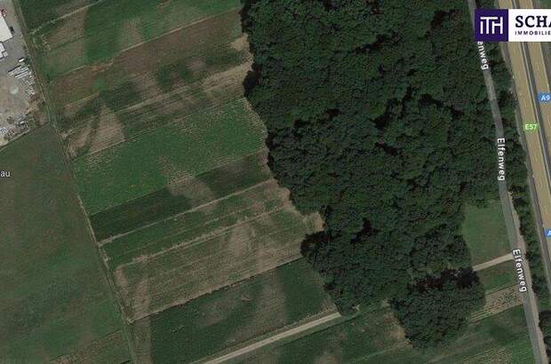 Grundstück kaufen in 8430 Leibnitz (Bild 3)