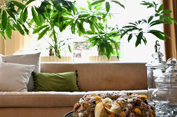 Haus mit Garten kaufen in 9500 Villach (Bild 4)