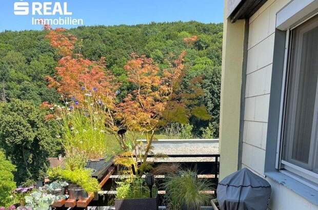 Terrassenwohnung kaufen in 2391 Kaltenleutgeben (Bild 1)