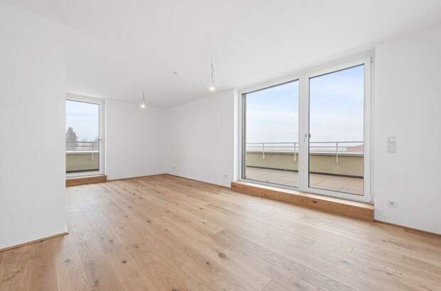 Terrassenwohnung kaufen in 2540 Bad Vöslau (Bild 3)