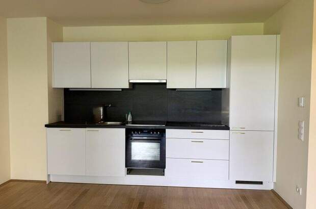 Terrassenwohnung mieten in 1130 Wien (Bild 4)
