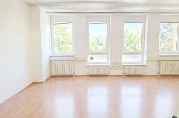 Gewerbeobjekt mieten in 1110 Wien (Bild 2)