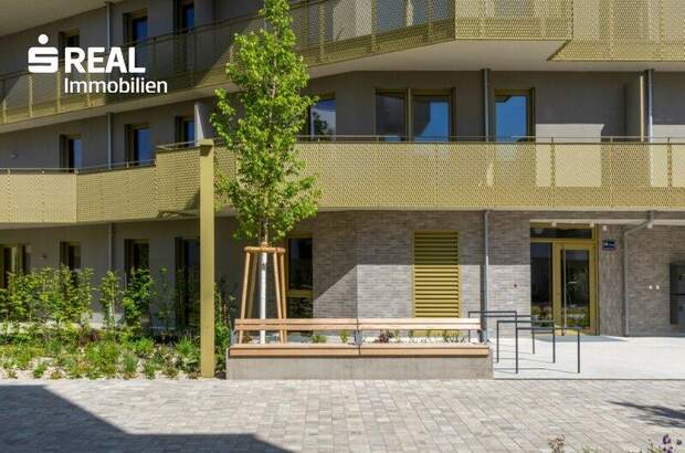 Terrassenwohnung kaufen in 1210 Wien (Bild 1)