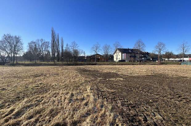 Grundstück kaufen in 8413 Ragnitz (Bild 4)