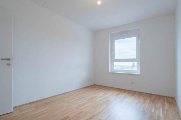 Wohnung mieten in 4643 Pettenbach (Bild 2)