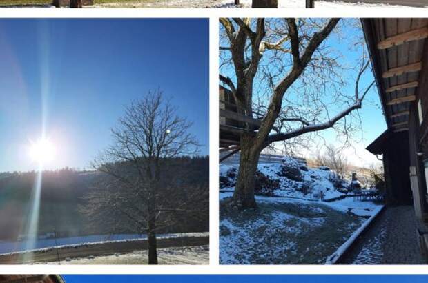 Haus kaufen in 4682 Geboltskirchen (Bild 3)