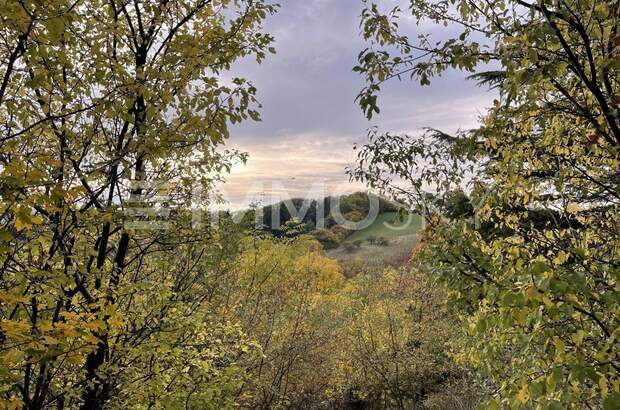 Grundstück kaufen in 2103 Langenzersdorf (Bild 1)