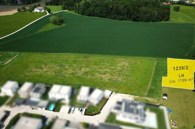 Grundstück kaufen in 4223 Ruhstetten (Bild 2)