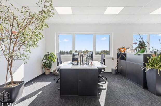 Gewerbeobjekt mieten in 4060 Leonding (Bild 5)