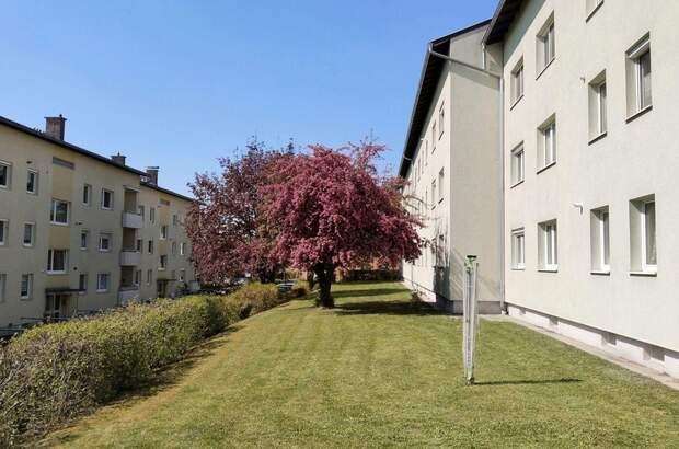 Wohnung kaufen in 4490 Sankt Florian (Bild 1)