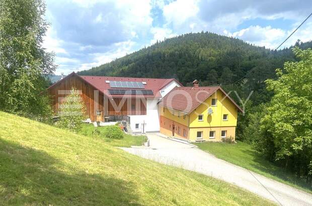 Bauernhaus kaufen in 4324 Rechberg (Bild 1)