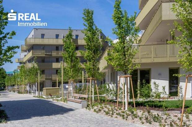 Terrassenwohnung kaufen in 1210 Wien (Bild 1)