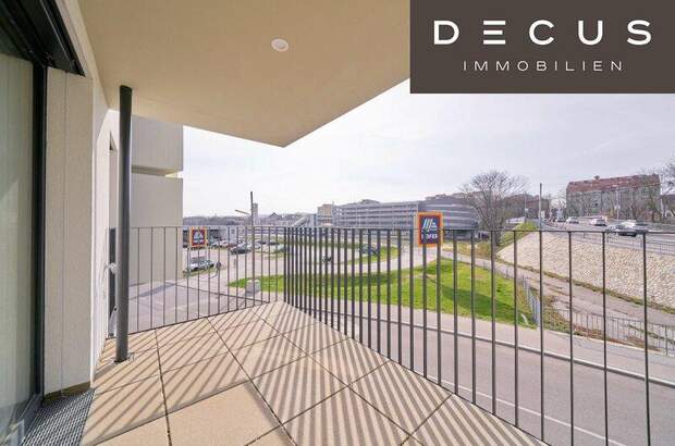 Terrassenwohnung mieten in 1230 Wien (Bild 1)