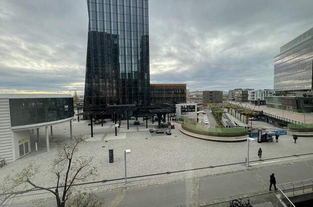 Gewerbeobjekt mieten in 1220 Wien (Bild 4)