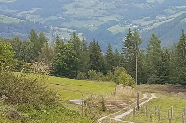 Grundstück kaufen in 8832 Oberwölz (Bild 3)