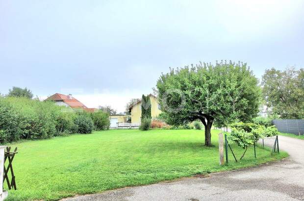 Grundstück kaufen in 4614 Marchtrenk (Bild 3)