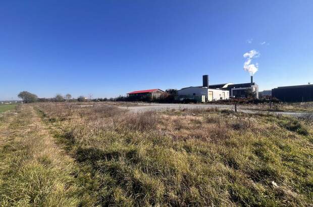 Gewerbeobjekt kaufen in 8430 Kaindorf (Bild 2)