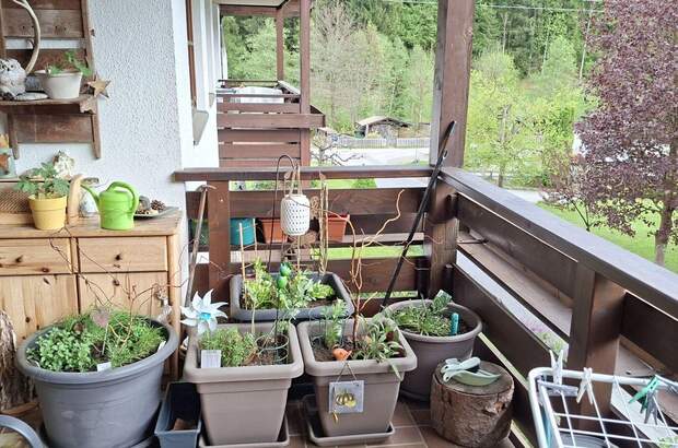 Altbauwohnung mit Balkon kaufen in 6353 Going (Bild 4)