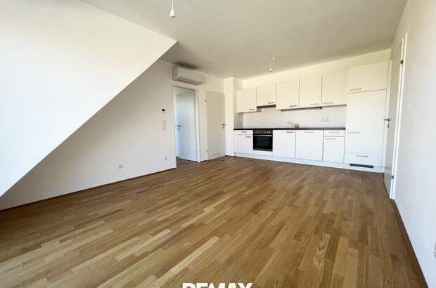 Terrassenwohnung mieten in 1230 Wien (Bild 3)