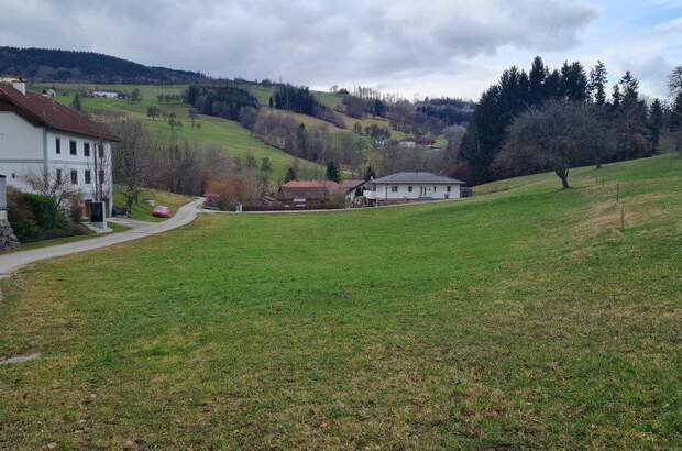 Grundstück kaufen in 3353 Seitenstetten (Bild 2)