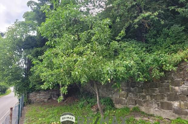 Grundstück kaufen in 3160 Traisen (Bild 1)