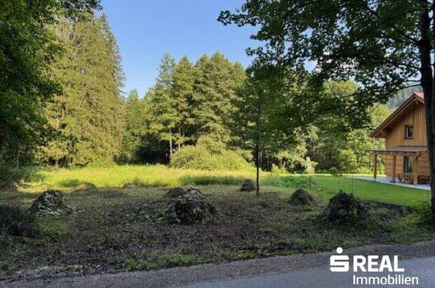 Grundstück kaufen in 4575 Roßleithen (Bild 4)