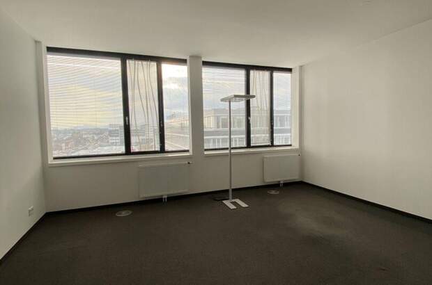 Gewerbeobjekt mieten in 1230 Wien (Bild 3)