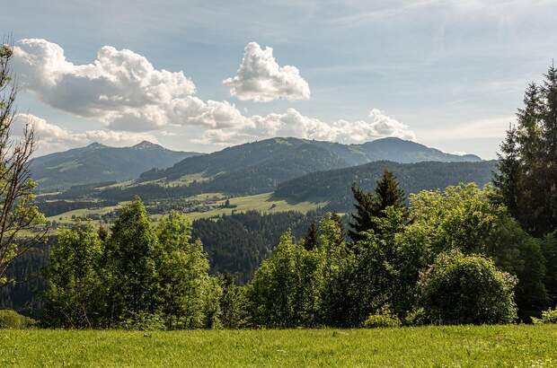 Chalet kaufen in 6305 Itter (Bild 4)