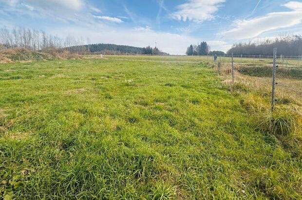 Grundstück kaufen in 9062 Moosburg (Bild 3)