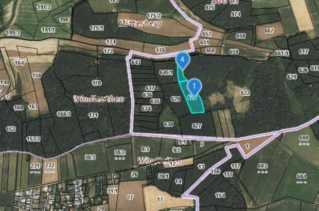 Jagd- und Forstwirtschaft kaufen in 3452 Atzenbrugg (Bild 1)