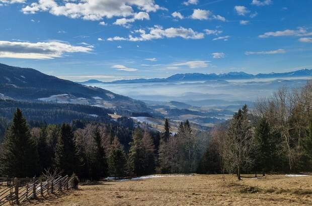 Grundstück kaufen in 9431 Wolfsberg (Bild 2)