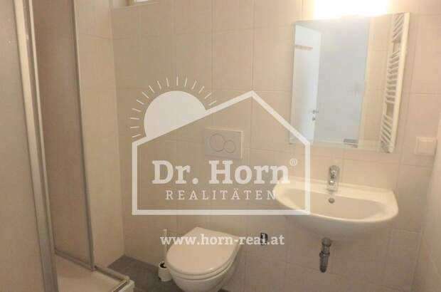 Altbauwohnung mit Balkon mieten in 8010 Graz (Bild 5)