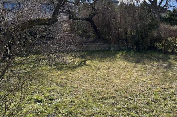 Grundstück kaufen in 2345 Brunn (Bild 3)