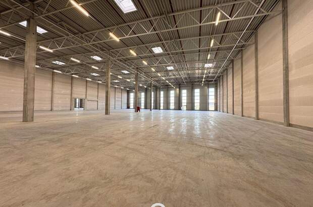 Gewerbeobjekt mieten in 4470 Enns (Bild 2)