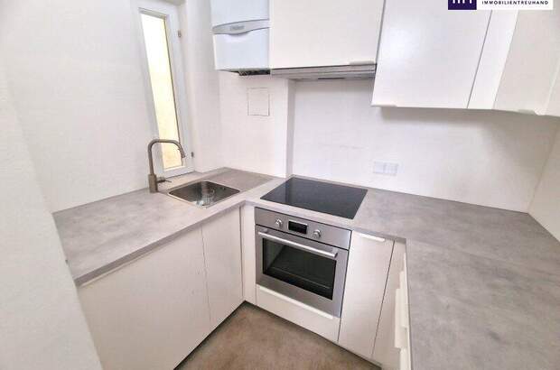 Bürogebäude kaufen in 1130 Wien (Bild 2)