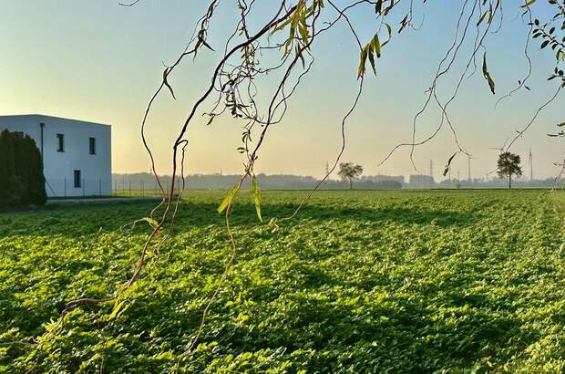 Grundstück kaufen in 2486 Pottendorf (Bild 2)