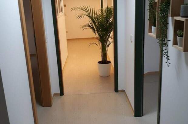 Gewerbeobjekt in 4560 Kirchdorf (Bild 4)