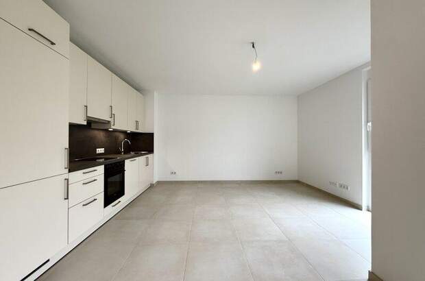 Terrassenwohnung mieten in 1100 Wien (Bild 1)