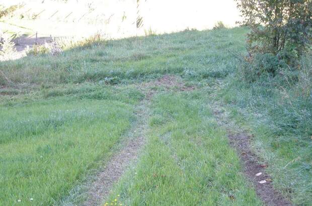 Gewerbeobjekt mieten in 4120 Neufelden (Bild 3)