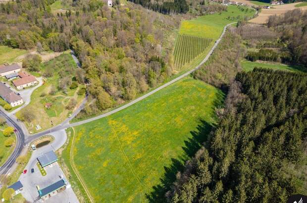 Gewerbeobjekt kaufen in 8333 Riegersburg (Bild 2)