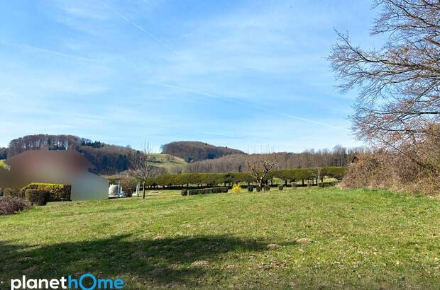 Grundstück kaufen in 3062 Kirchstetten (Bild 1)