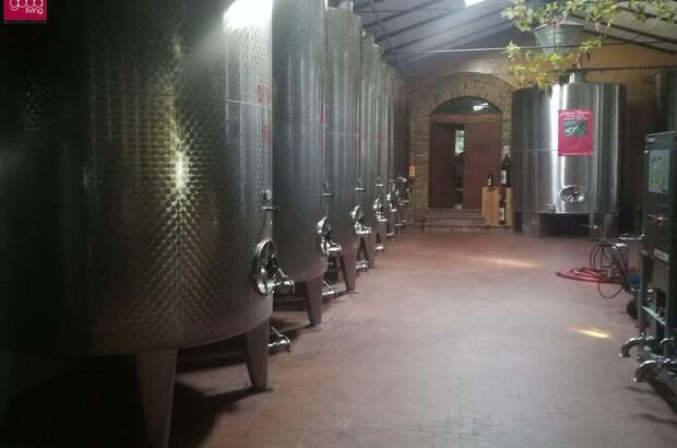 Gewerbeobjekt kaufen in 47032 Bertinoro (Bild 3)