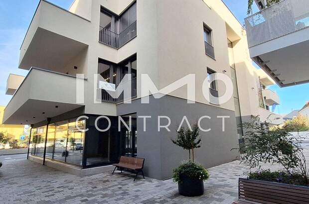 Gewerbeobjekt mieten in 3251 Purgstall (Bild 4)