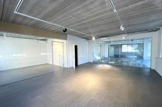 Gewerbeobjekt mieten in 1230 Wien (Bild 3)