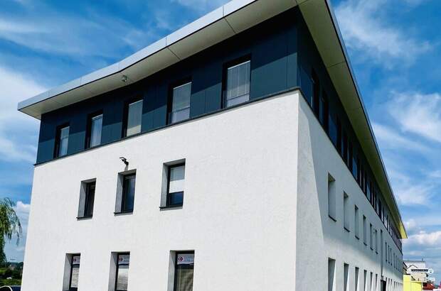 Gewerbeobjekt mieten in 4060 Leonding (Bild 1)